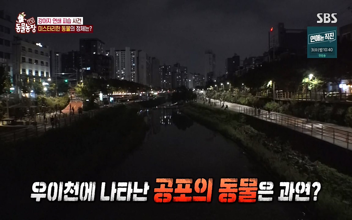 TV 동물농장.E1080.220732p-NEXT.mp4_20220731_174212.368.jpg