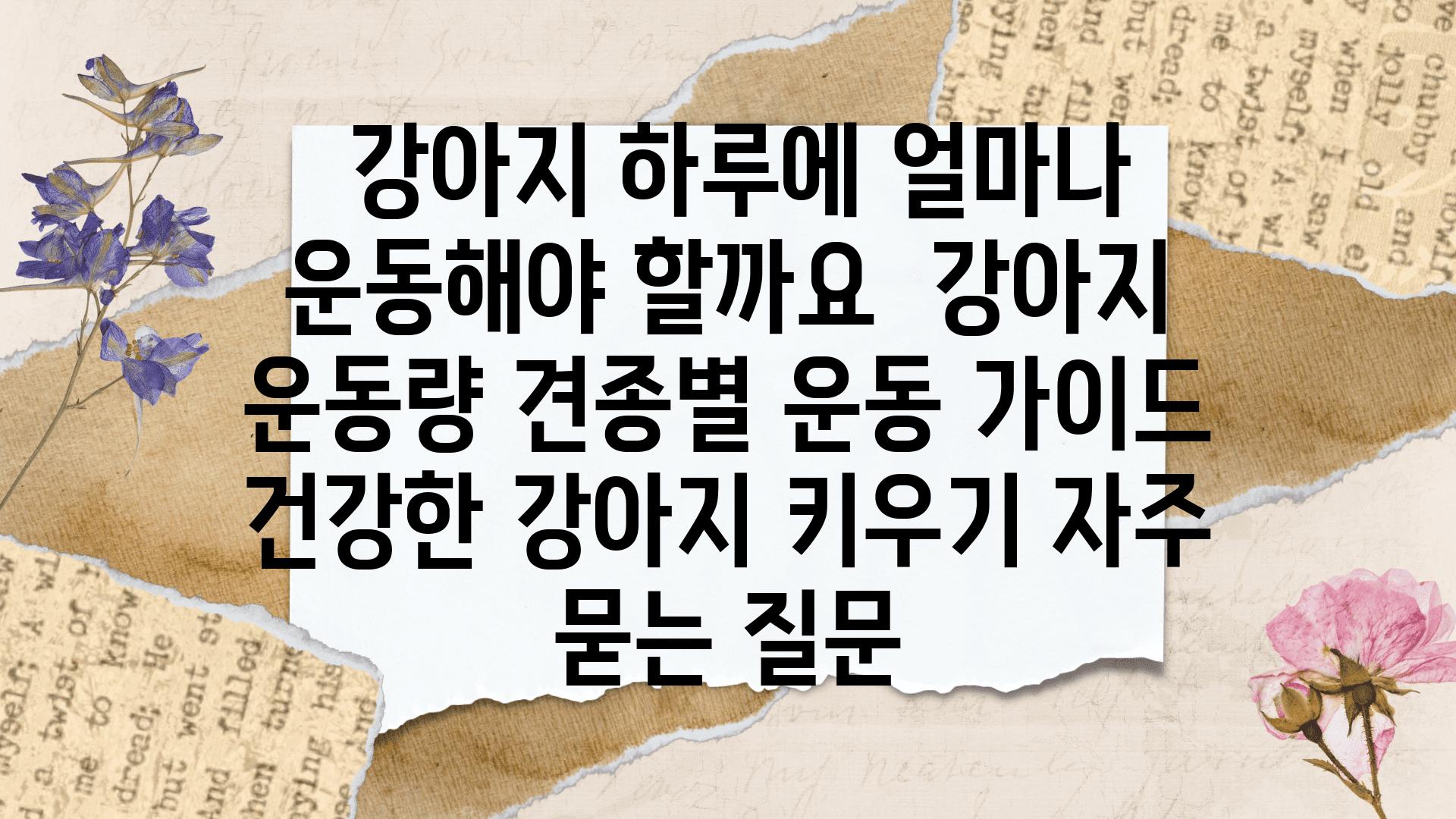  강아지 하루에 얼마나 운동해야 할까요  강아지 운동량 견종별 운동 설명서 건강한 강아지 키우기 자주 묻는 질문