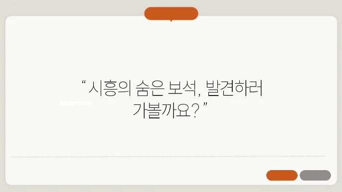 시흥 가볼만한 곳 배곧신도시 (시흥주변 여행지)