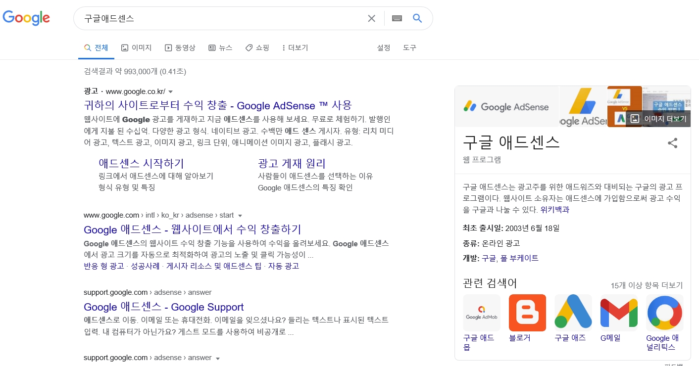  애드센스 가입부터 실행하기 첫날