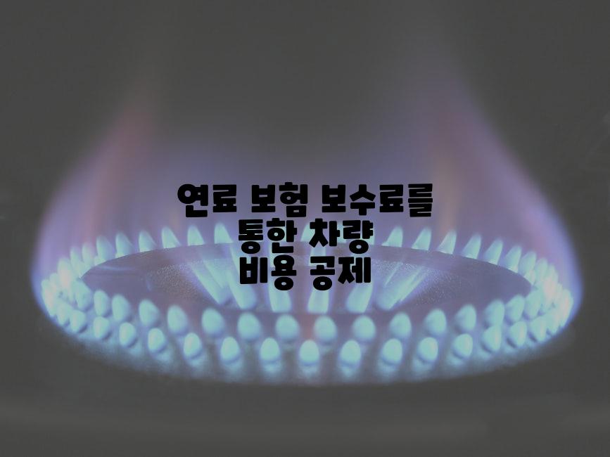 연료 보험 보수료를 통한 차량 비용 공제