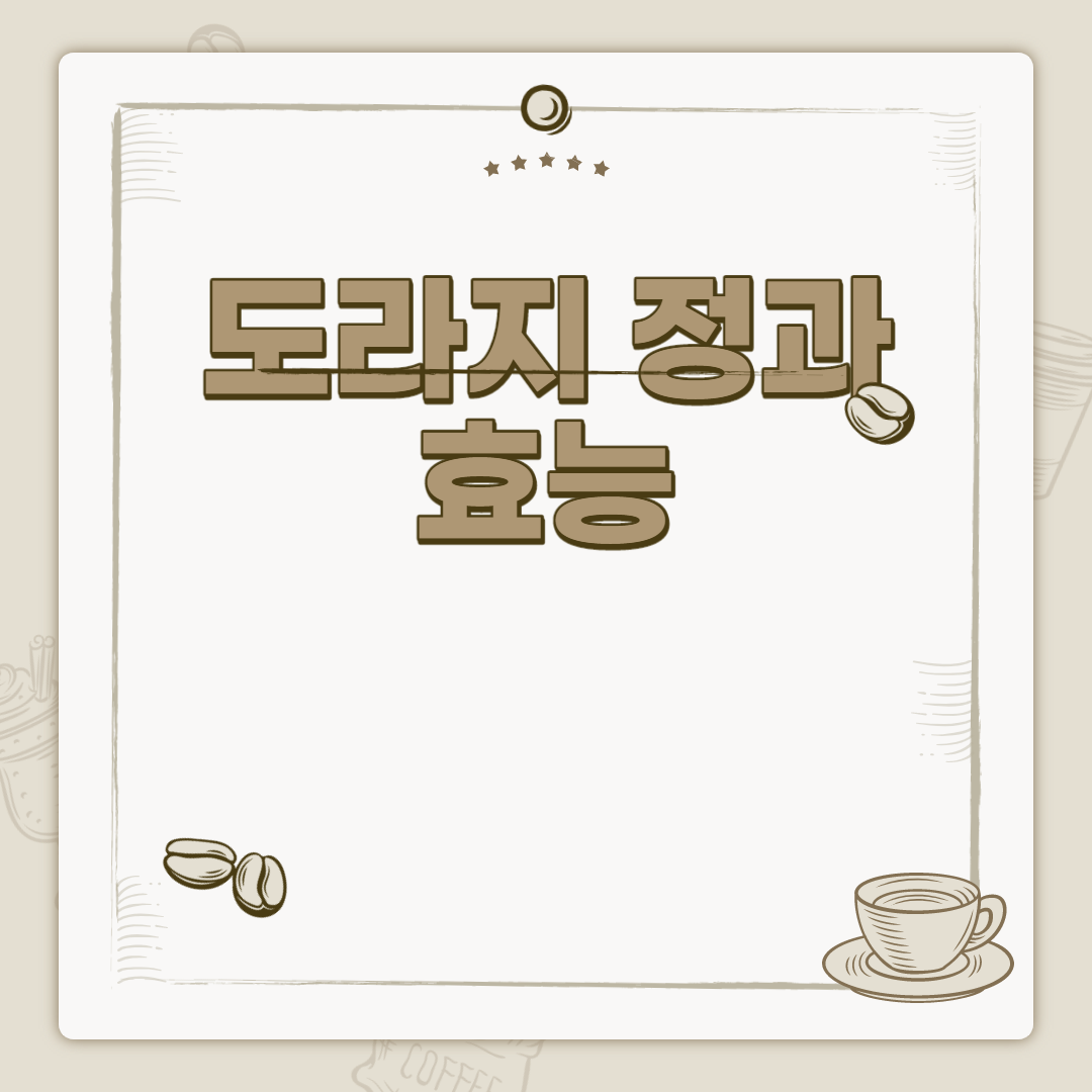  도라지 정과 효능