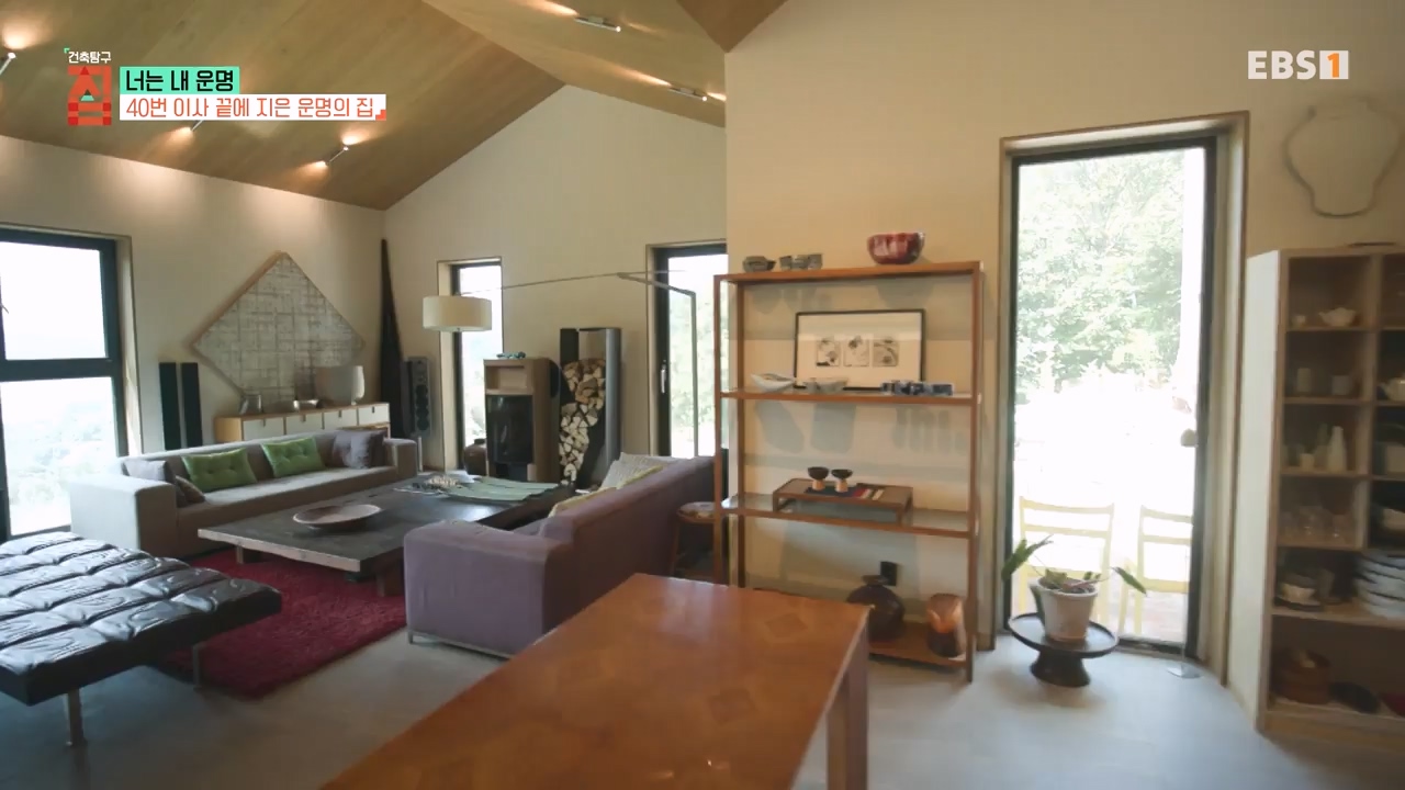 TV - 전 국민의 평생학교 EBS너는 내 운명.mp4_20231123_211352.453.jpg