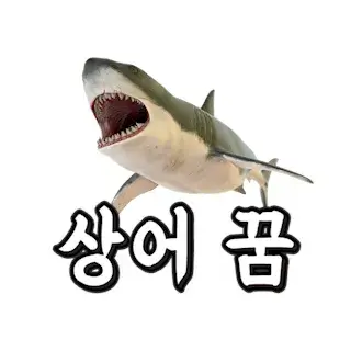 상어-잡는-쫓기는-물리는-꿈-해몽-풀이-shark