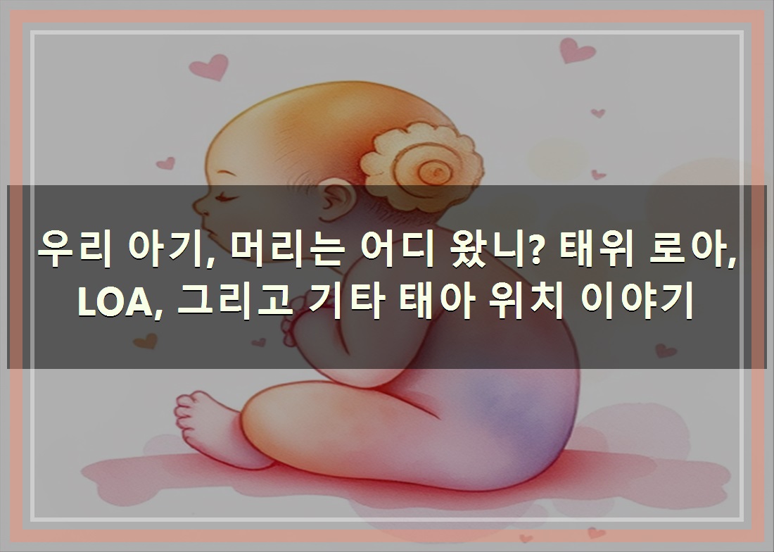 로아(LOA) 이미지