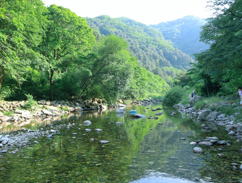 수도권 가볼 만한 계곡