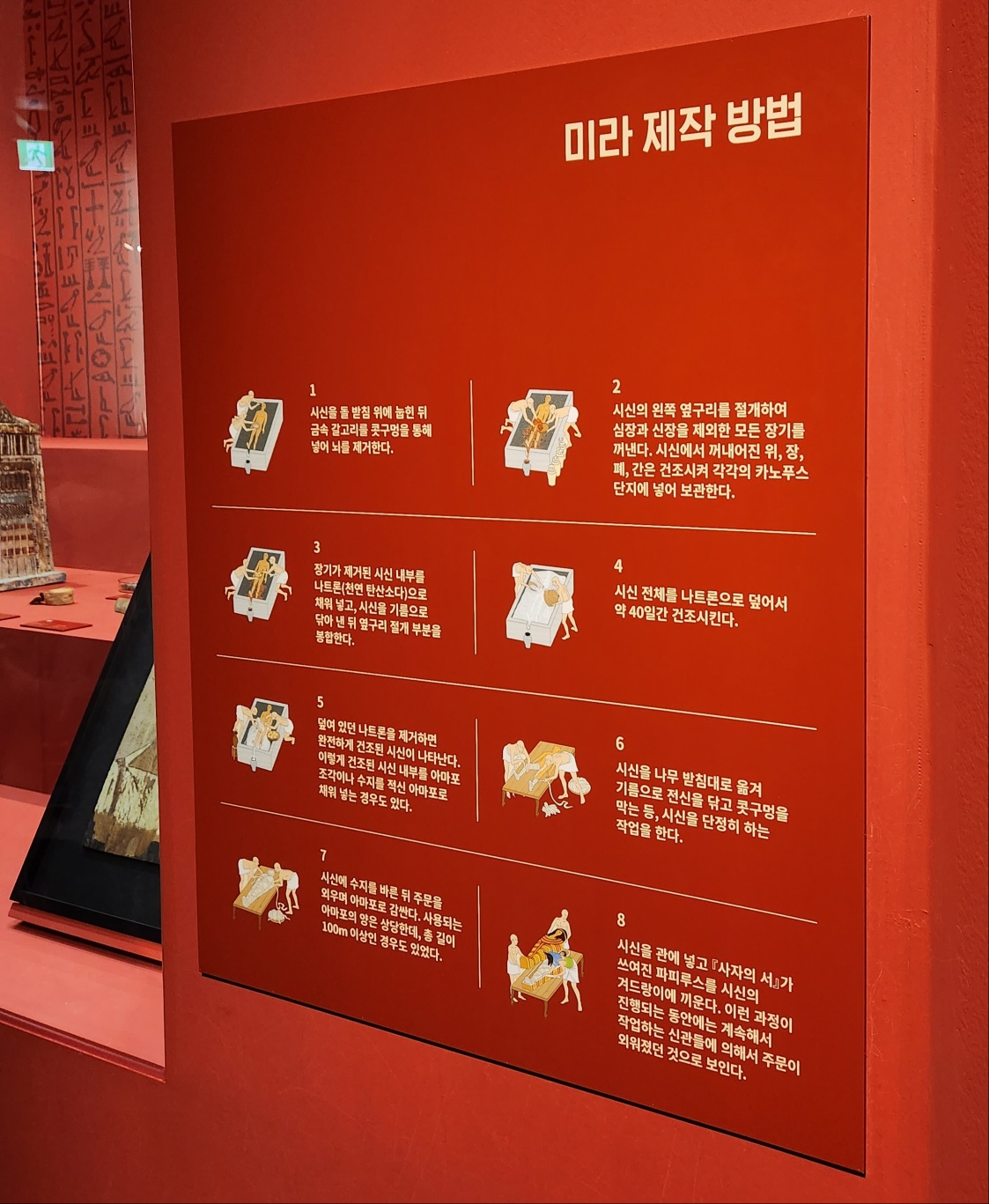 이집트 미라전