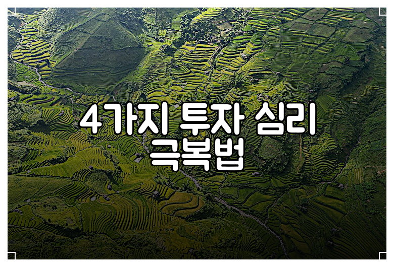 4가지 투자 심리 극복법