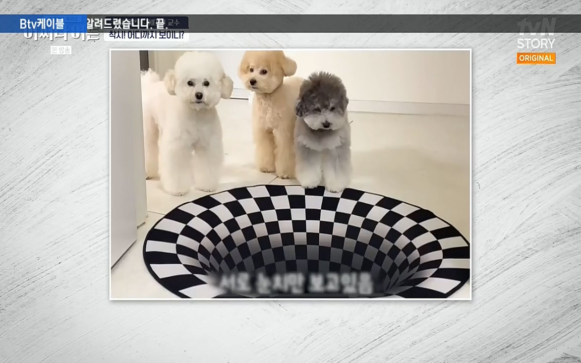 어쩌다 어른.E06.220715p-NEXT.mp4_20220912_140128.827.jpg