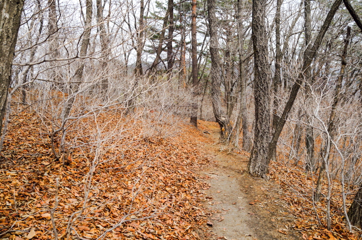 한국 명산 강원 화천 오봉산 등산 mountain hiking