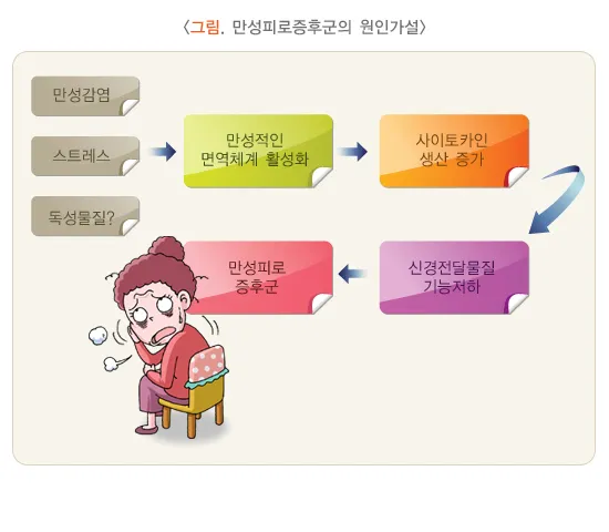 만성피로 증상 원인 현실적인 해결방법_8