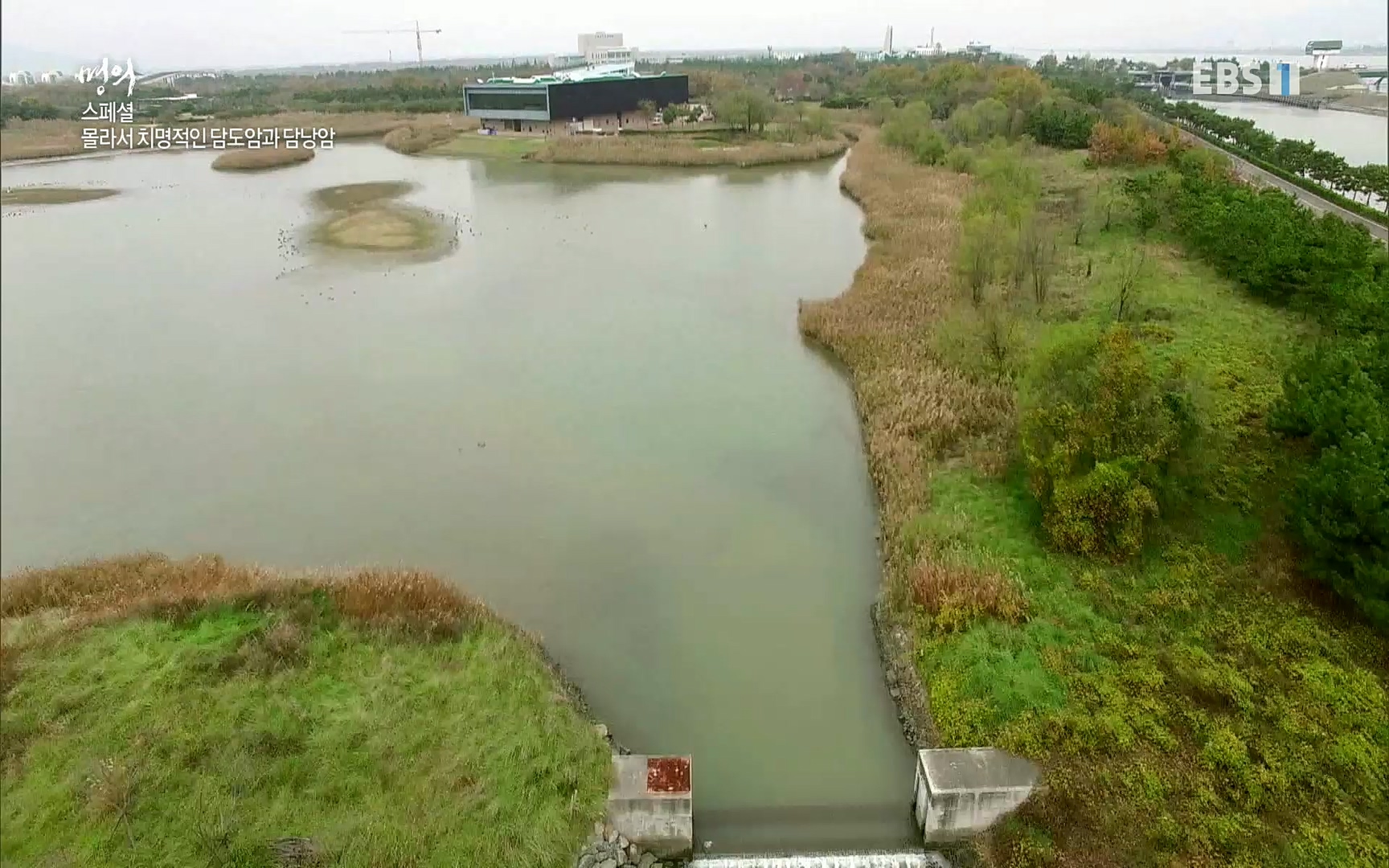 EBS 명의 헬스케어 - TV - 교육의 중심 EBS[명의 스페셜] 공포의 암, 췌장암, 담도암, 담낭암.mp4_20220902_210921.117.jpg