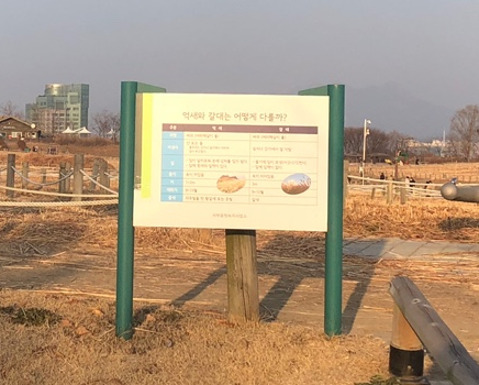 하늘공원 폐쇄 주말 하늘공원 나들이 14