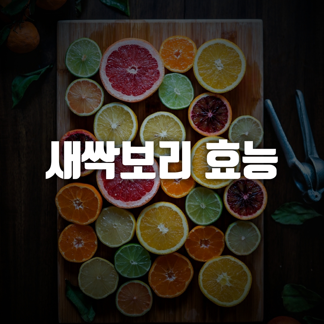  새싹보리 효능, 새싹보리 효과, 새싹보리?