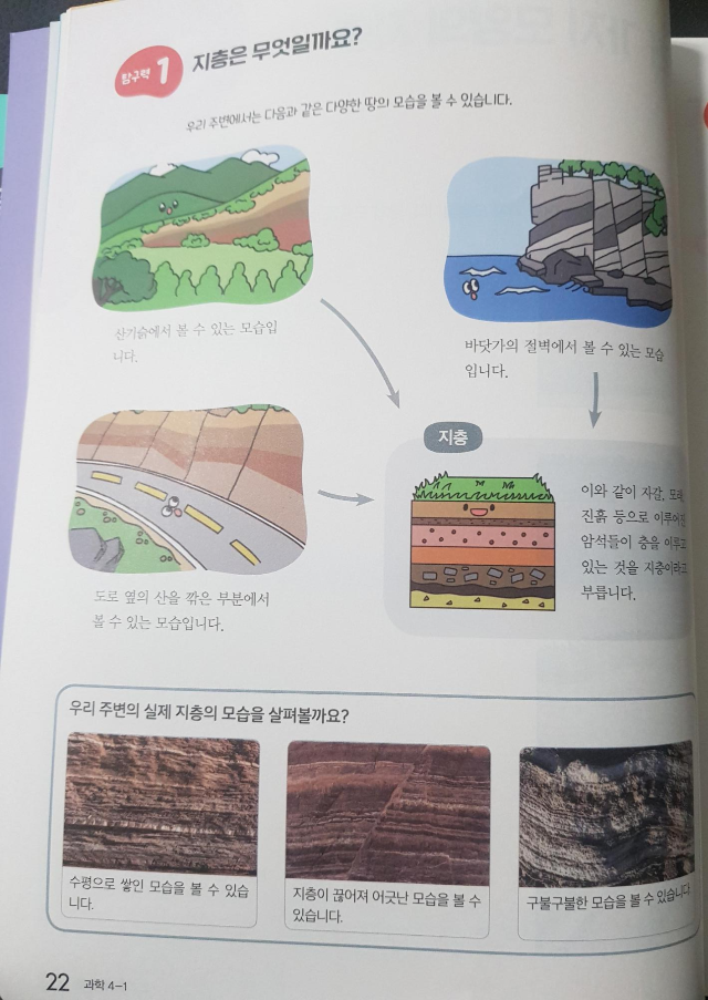 탐깨비