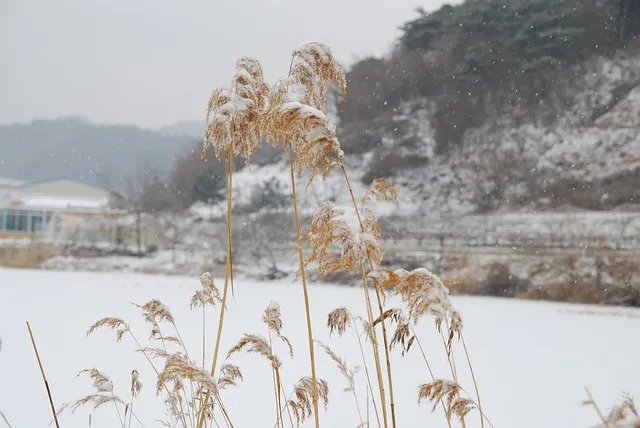 군위 관광 명소 안내_2