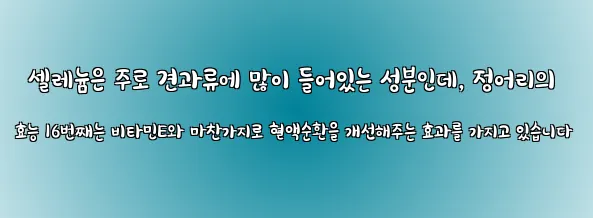  셀레늄은 주로 견과류에 많이 들어있는 성분인데, 정어리의 효능 16번째는 비타민E와 마찬가지로 혈액순환을 개선해주는 효과를 가지고 있습니다