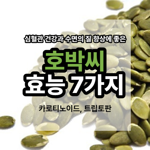 호박씨 칼로리 높나요