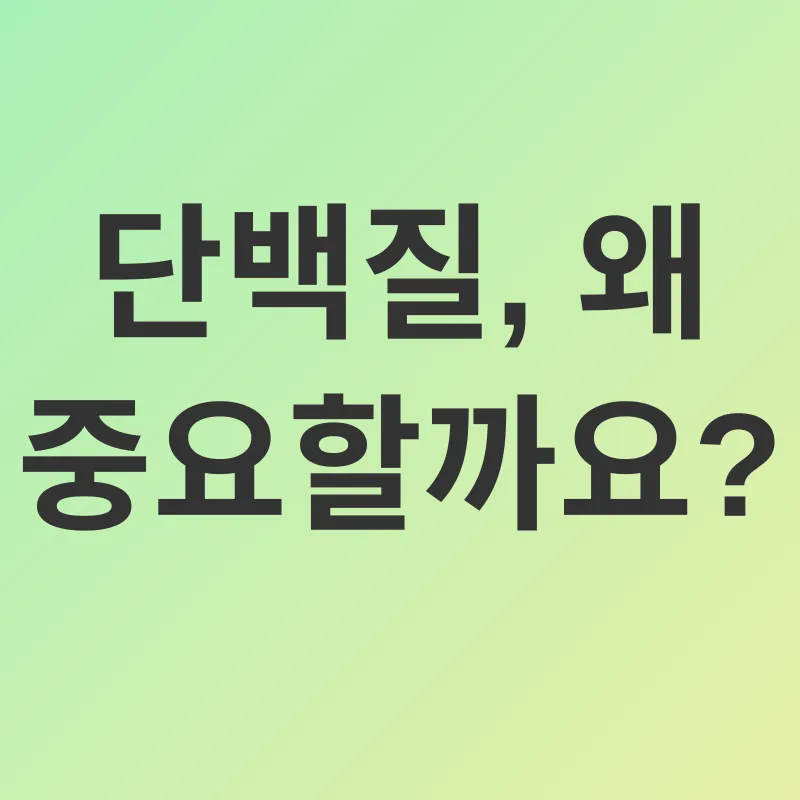단백질 섭취_1