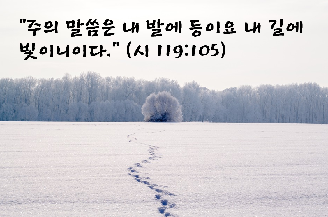 시편 119편 105절