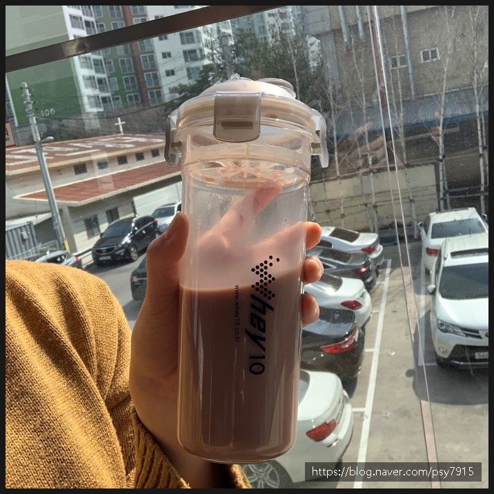 살찌는 프로틴으로 관리해요 6