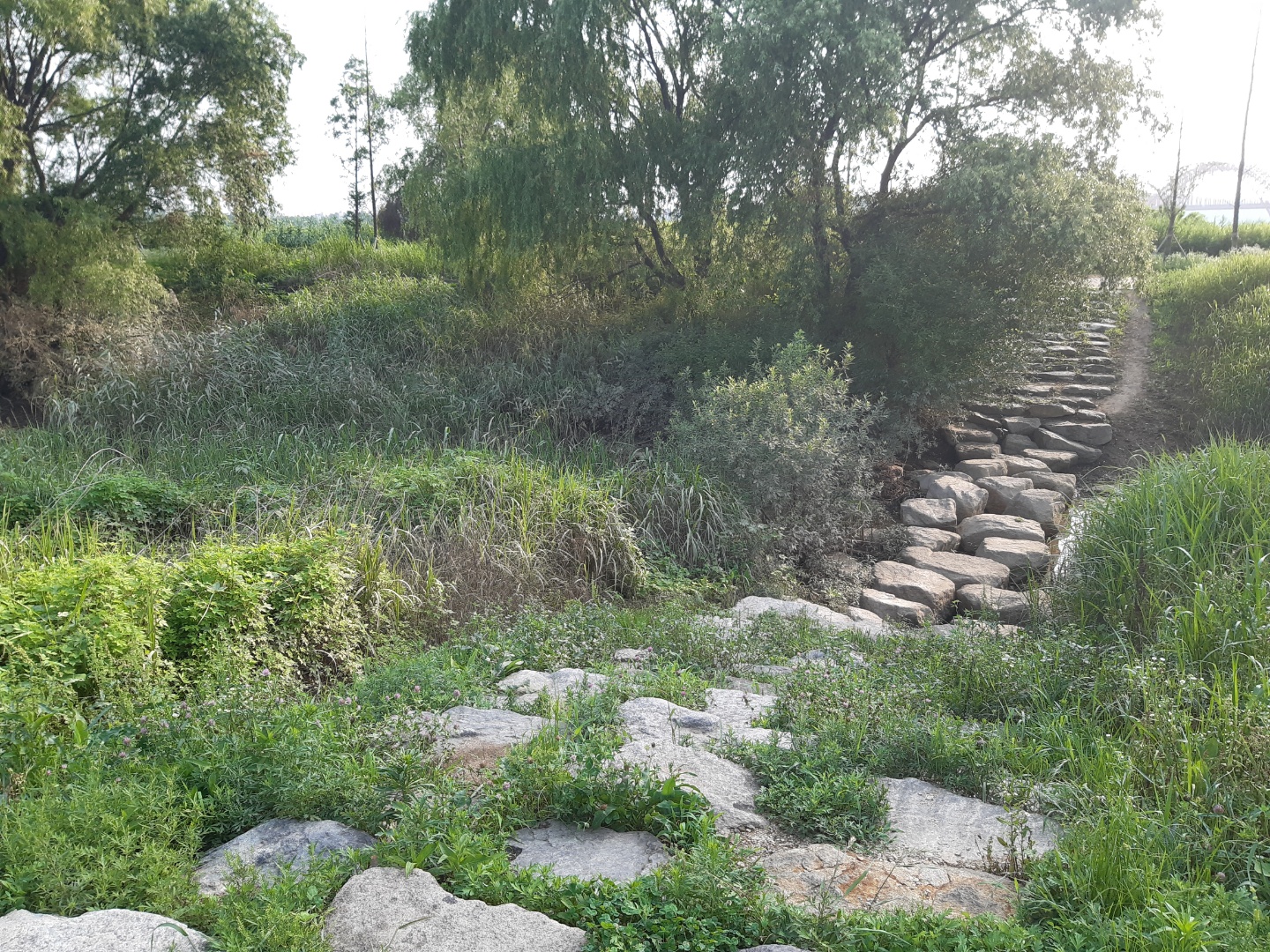  고양 대덕생태공원 / 제1돌다리