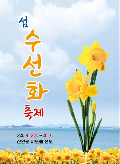 신안군 섬 수선화 축제 (출처:신안군)