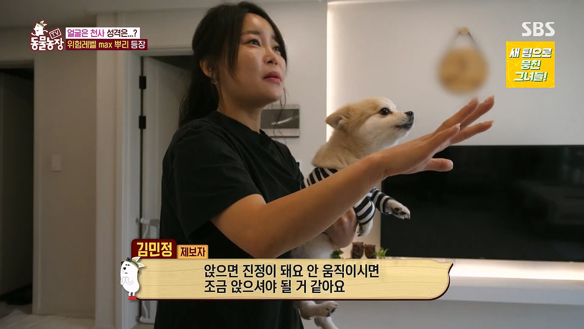 TV 동물농장.E1104.230115p.H264-F1RST.mp4_20230115_173157.430.jpg