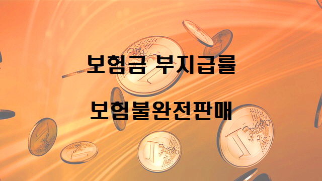  노다지네 잡학다식