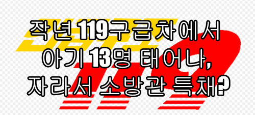  작년 119구급차에서 아기 13명 태어나, 자라서 소방관 특채?