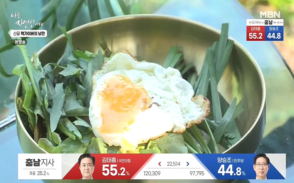 나는 자연인이다.E504.220602p-NEXT.mp4_20220602_201454.103.jpg