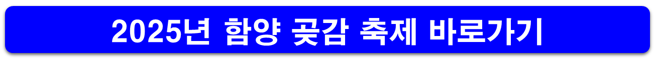 함양 곶감 축제