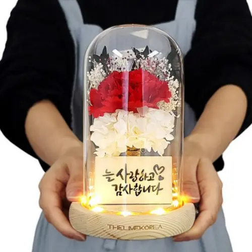 어버이날 부모님께 드리면 실패 없는 카네이션 선물 추천 가이드6