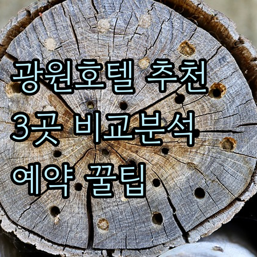 광원 호텔 예약 고민? 3곳 후기와 