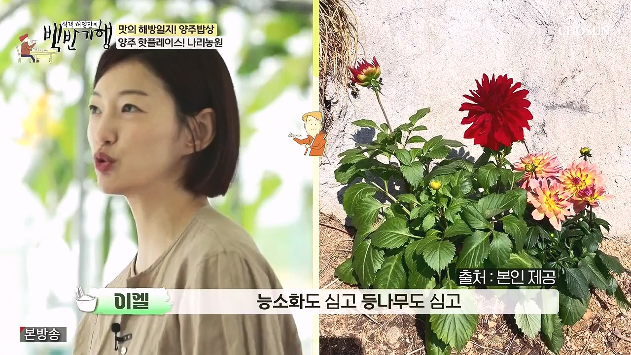 식객 허영만의 백반기행.E214.230902p-NEXT.mp4_20230903_170207.776.jpg
