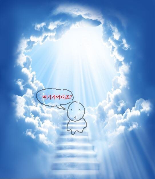 김돌체... 천축카페 하이타니 보러 왔어요! 4