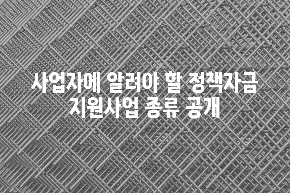 사업자에 알려야 할 정책자금 지원사업 종류 공개