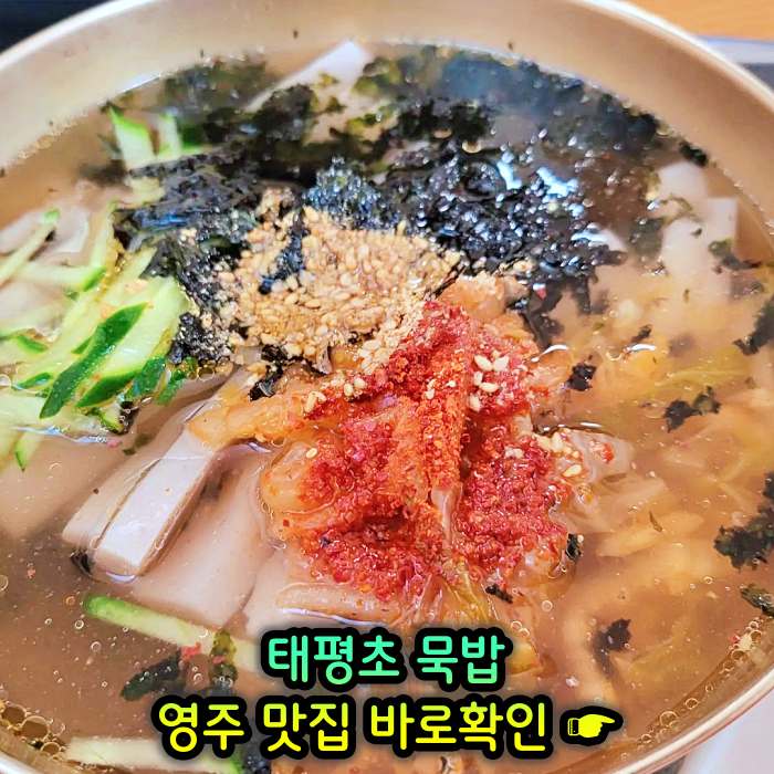 경북 영주 맛집 메밀묵 돼지고기 얼큰 양념 찌개 태평초