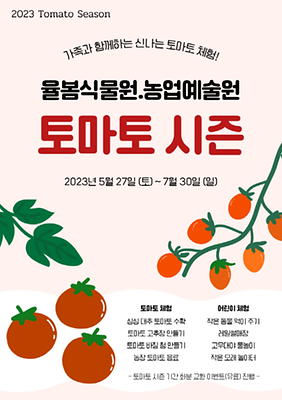 7월 축제 율봄식물원 토마토 시즌