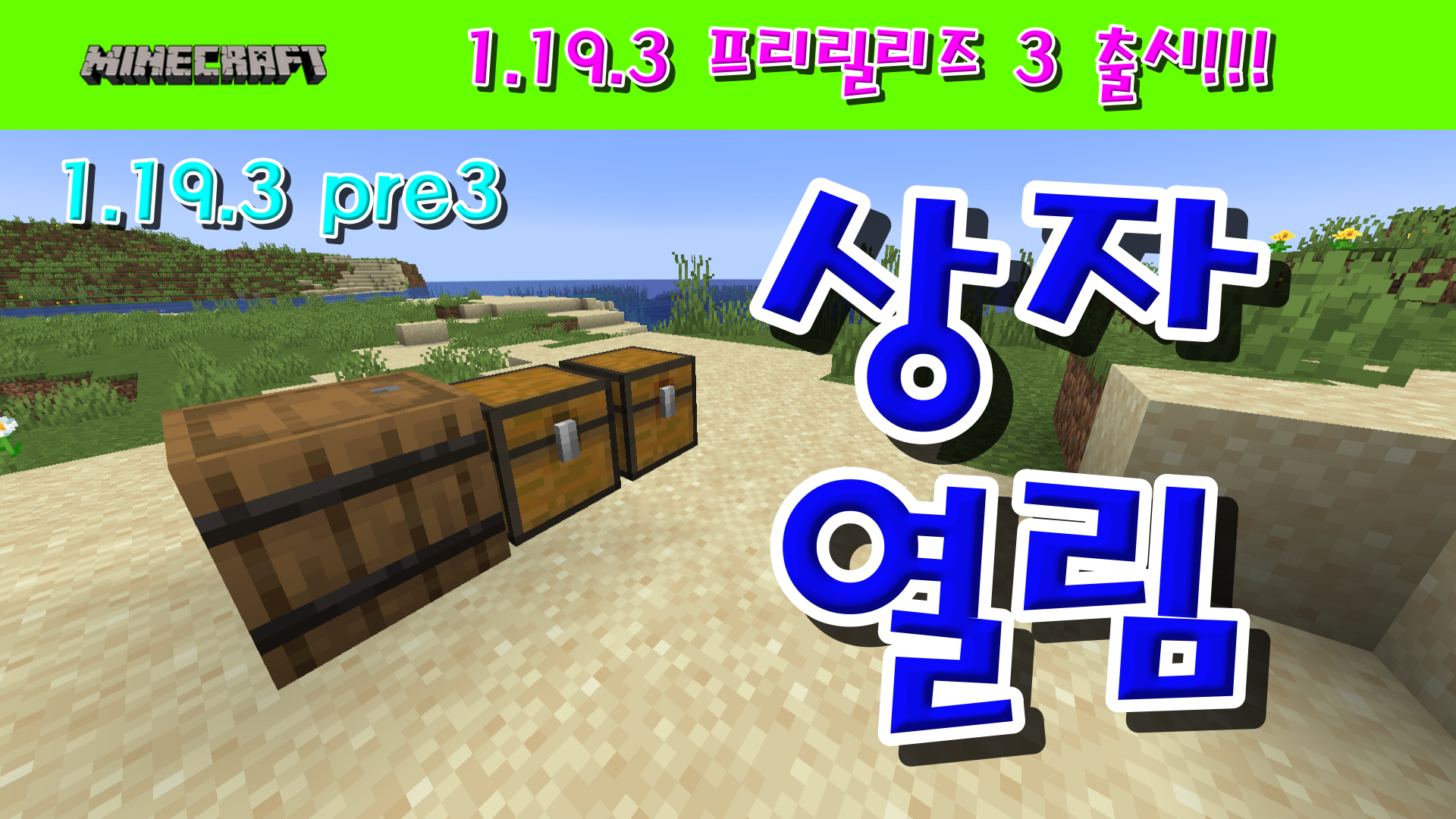  마인크래프트 1.19.3 프리릴리즈 3 출시!!!