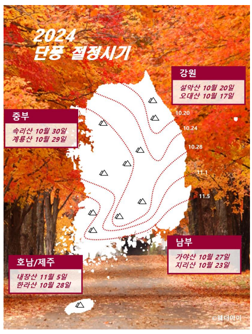 2024 단풍시기