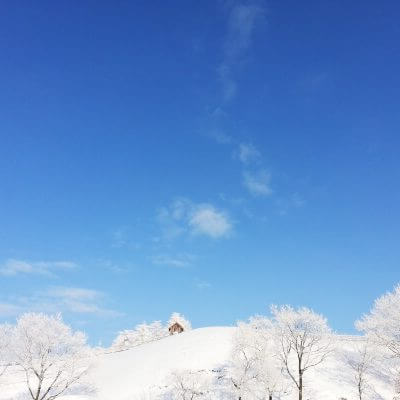 국내 겨울 여행지 눈 덮인 평창 양떼목장