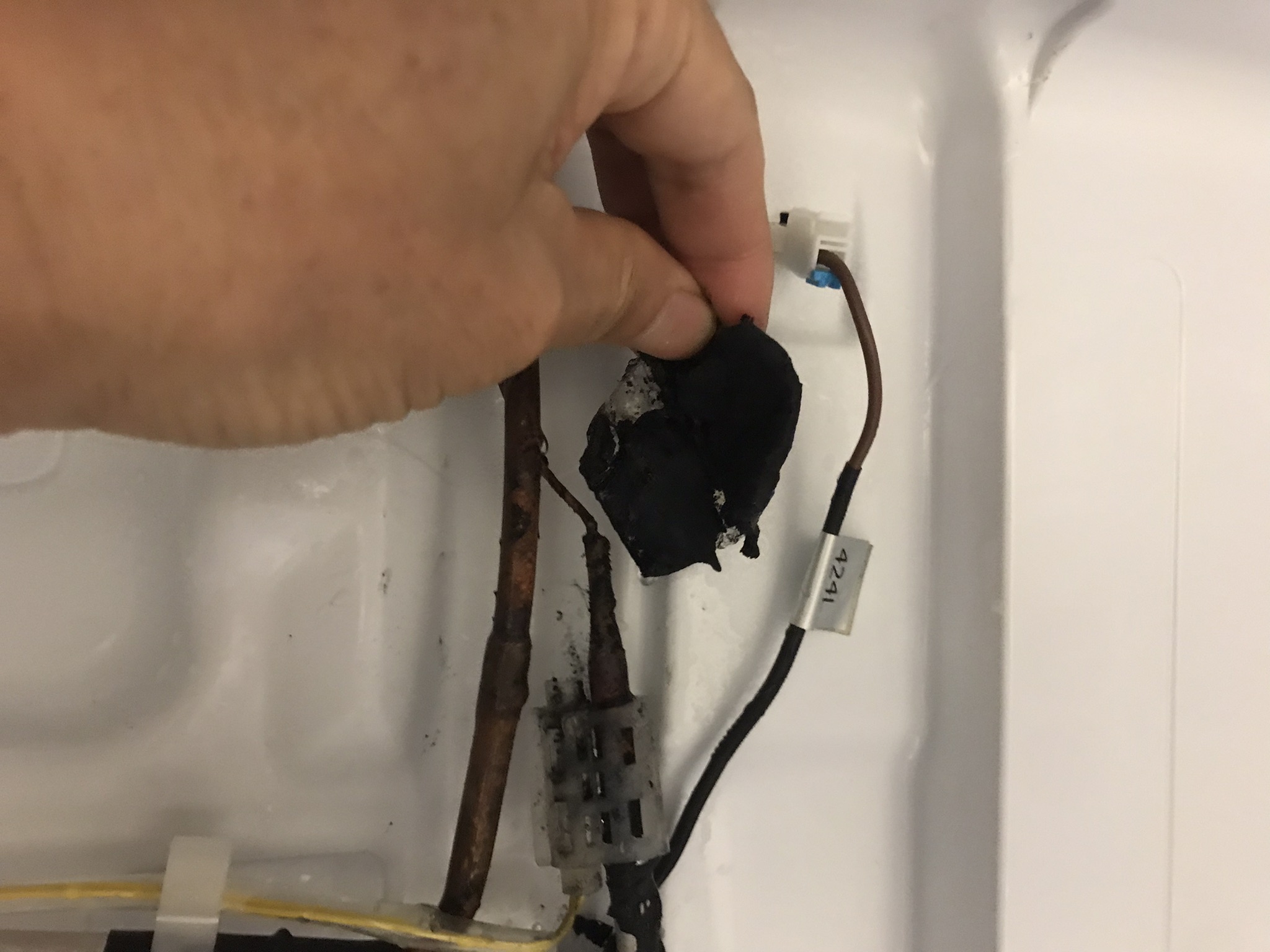 제상 센서(노란색 케이블 끝) 및 상부 모세관