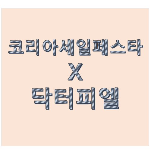  코리아세일페스타x닥터피엘 샤워기 필터 할인정보