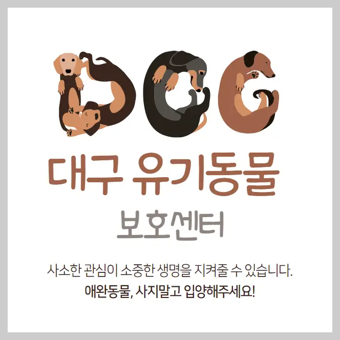  대구 유기동물보호센터 강아지 고양이 유기 동물 보호소 5곳