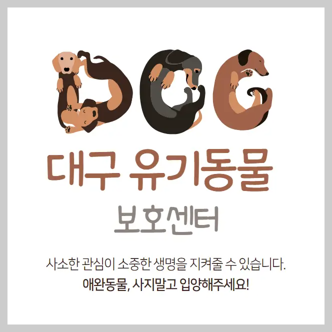 대구-유기동물보호센터-강아지-고양이-유기-동물-보호소