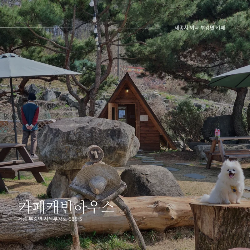  [세종시 부강면 이색 카페 추천] 카페캐빈하우스_바베큐, 애견동반 카페