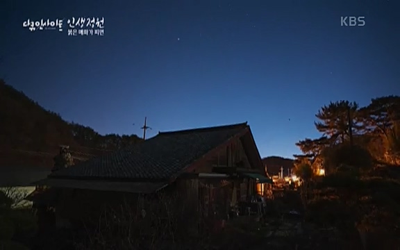 다큐 인사이트 - KBS인생정원 - 붉은 매화가 피면] 봄이면 가장 먼저, 그리고 가장 붉게 피어나는 강인한 소성의 매화.ts_20220818_203413.360.jpg