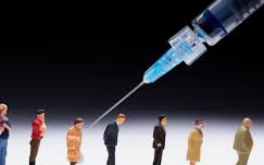  30대 백신 접종 시기 / 40대 이하 백신 접종 사전예약 분산 / 백신종류