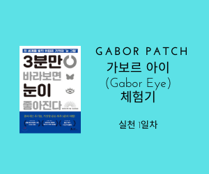  [1일차] 가보르아이? 꾸준히 하면 정말 눈이 좋아질 수 있을까? - 3분만 바라보면 눈이 좋아진다.